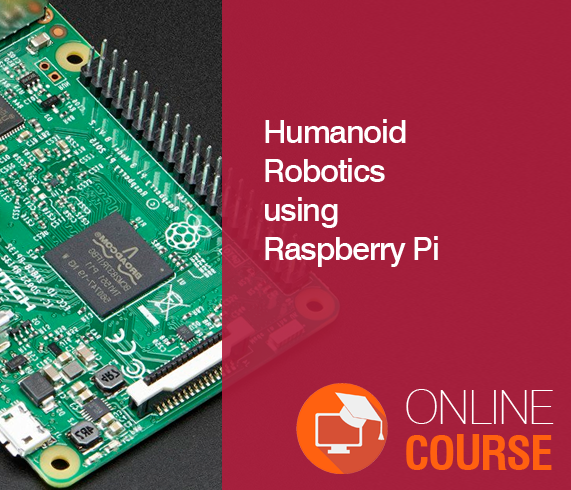 Humanoid Robotics using Raspberry Pi